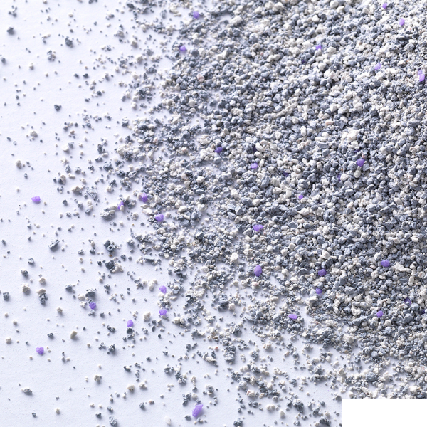 Ever Clean Lavender Lavanta Kokulu Kedi Kumu 10lt — görsel 3