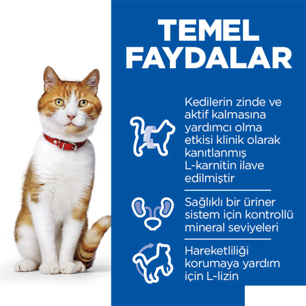 Hill's SCIENCE PLAN Somonlu Kısırlaştırılmış Yetişkin Kedi Maması 8kg + 2kg HEDİYE! — görsel 5