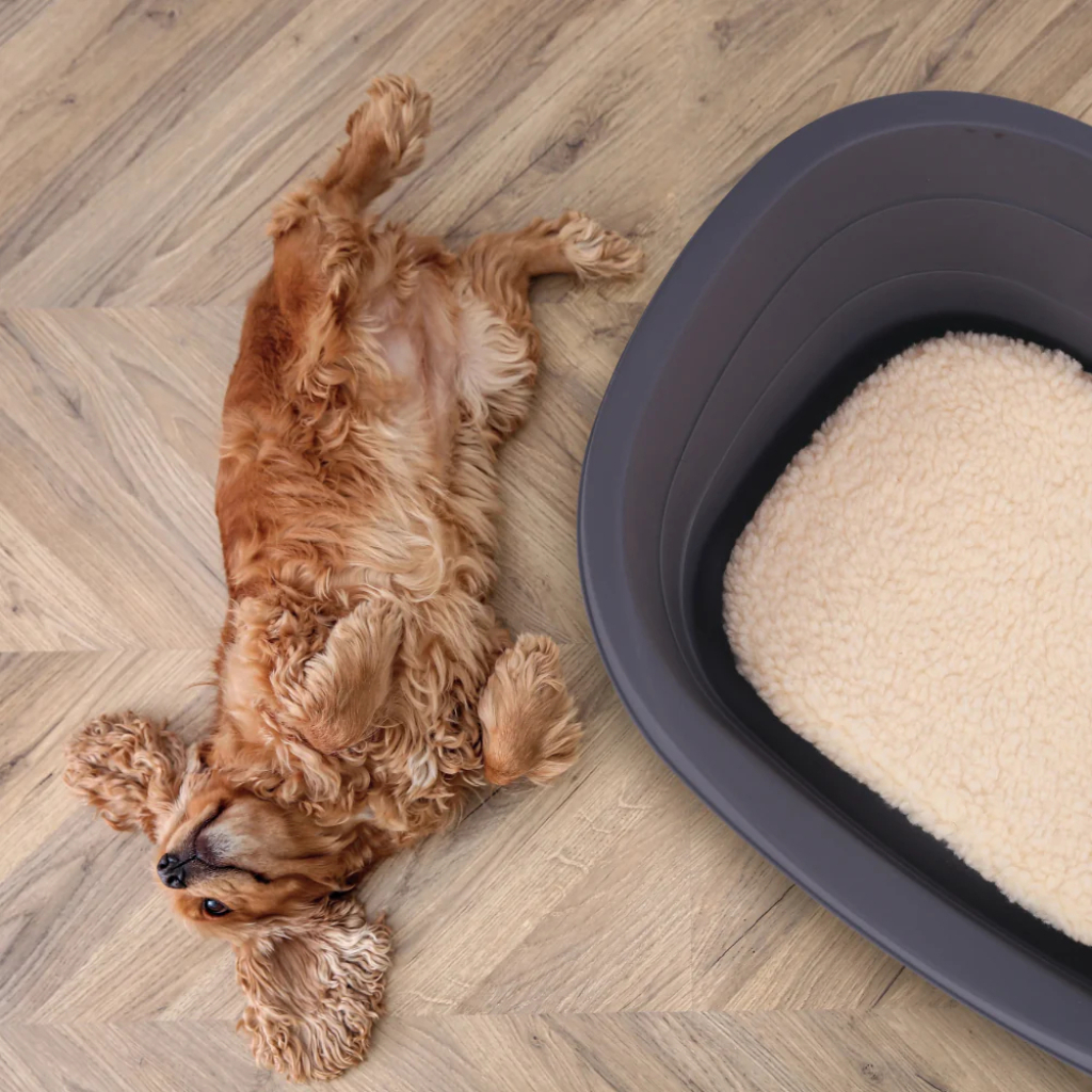 M-Pets Java Plastik Köpek Yatağı 100x72cm [XL] — görsel 2