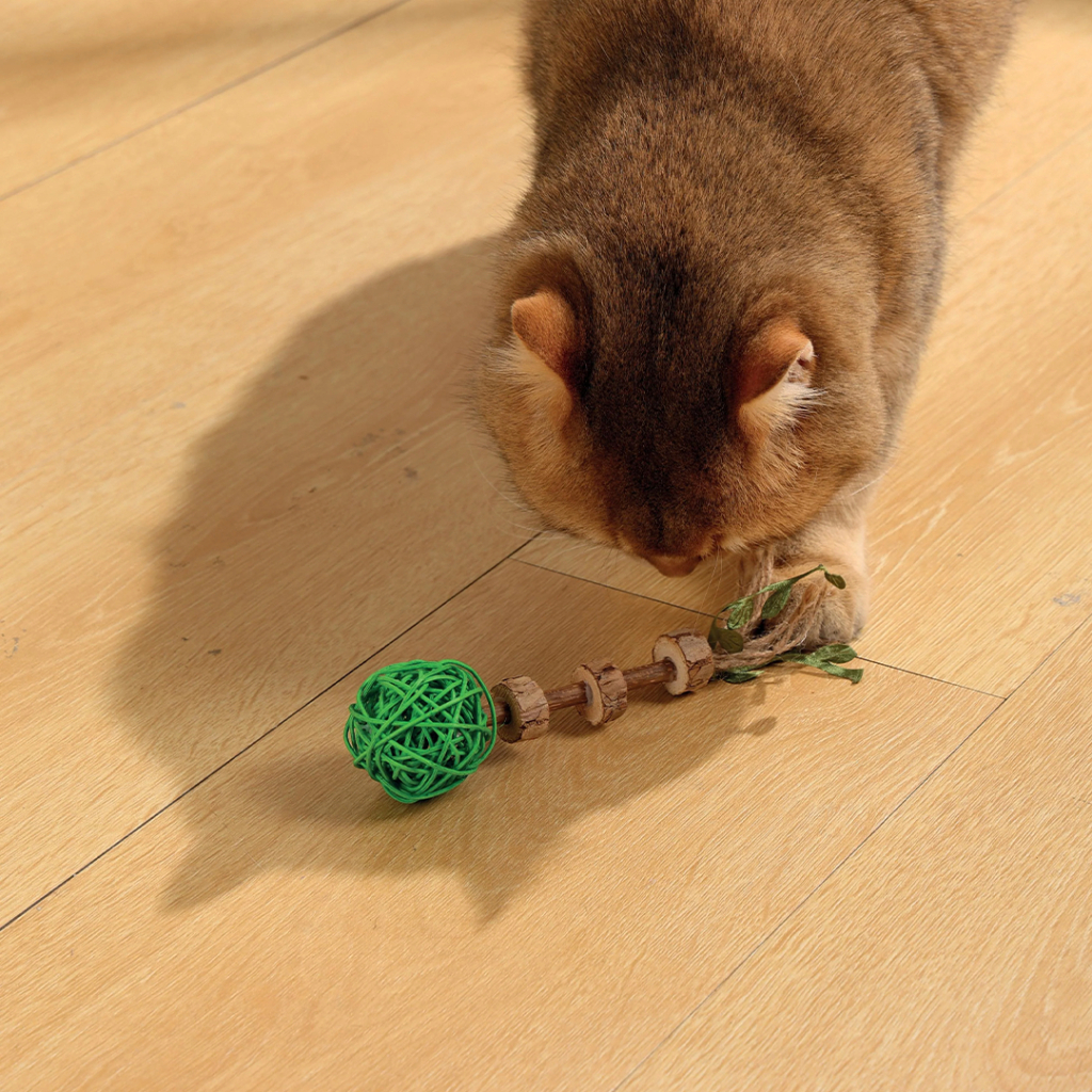 M-Pets Matatabi Çubuklu Top Kedi Oyuncağı 18cm (Yeşil) — görsel 5
