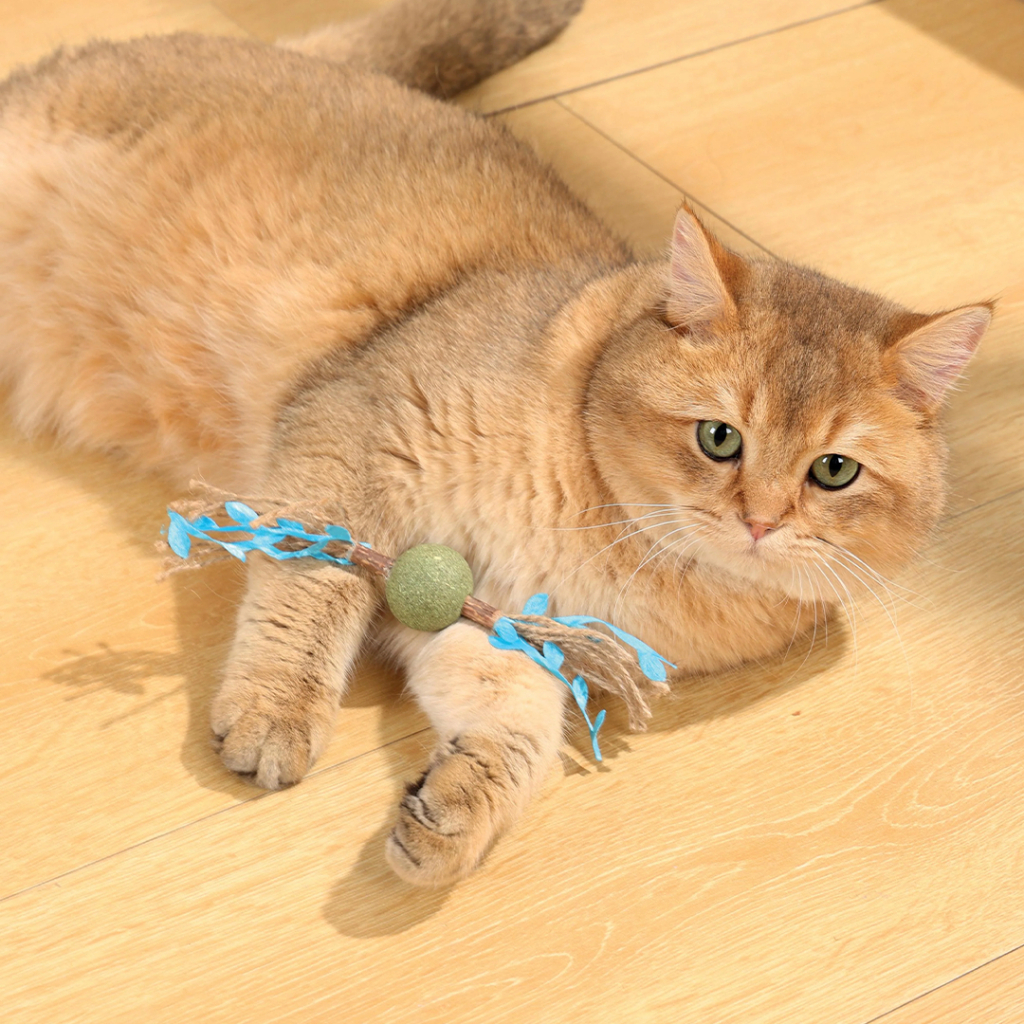 M-Pets Catnipli Top Kedi Oyuncağı 18x3x3cm (Mavi) — görsel 5