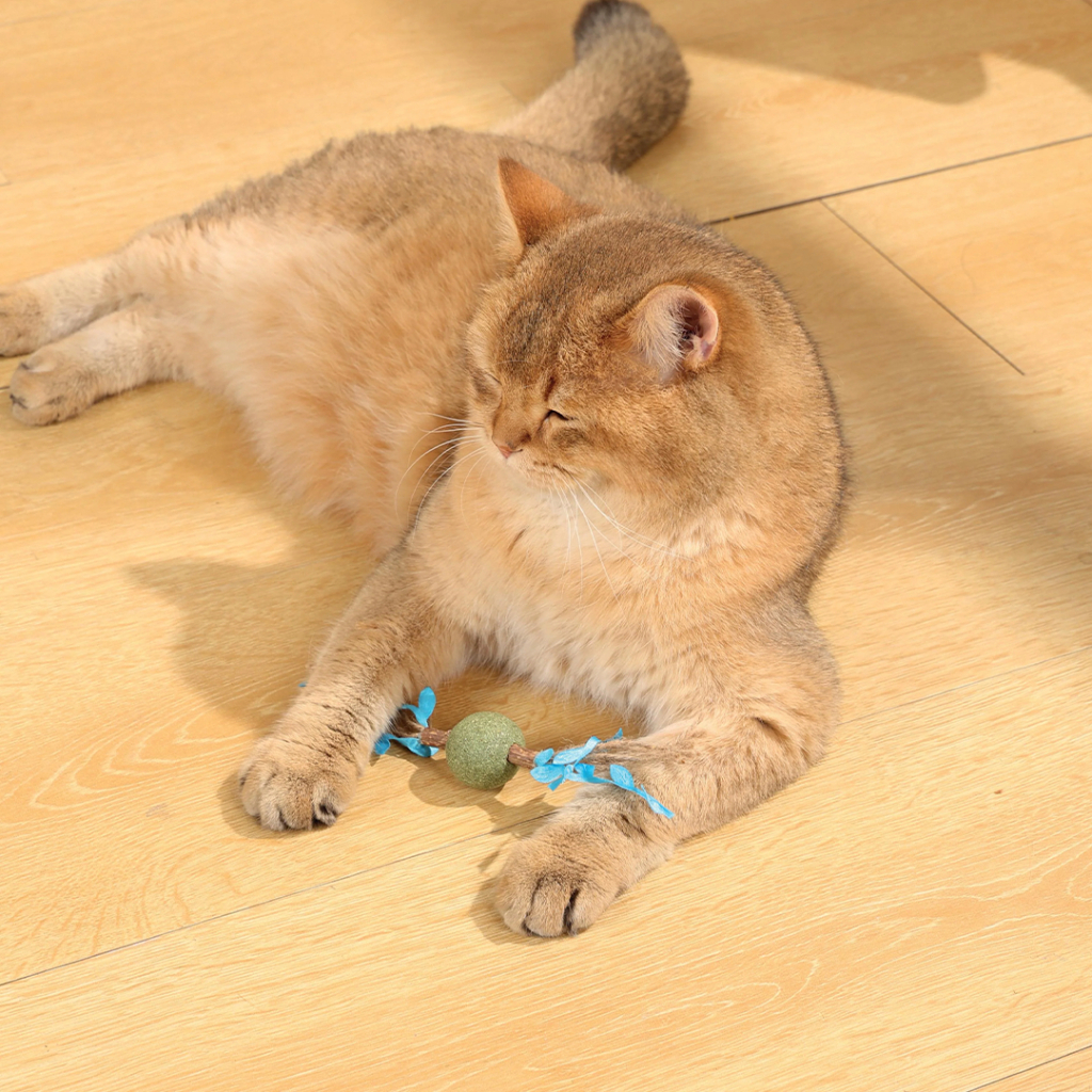 M-Pets Catnipli Top Kedi Oyuncağı 18x3x3cm (Mavi) — görsel 4