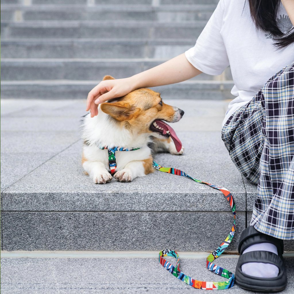 M-Pets Urban Style Freestyle Köpek Göğüs Tasması 30x40cm [XS] — görsel 4