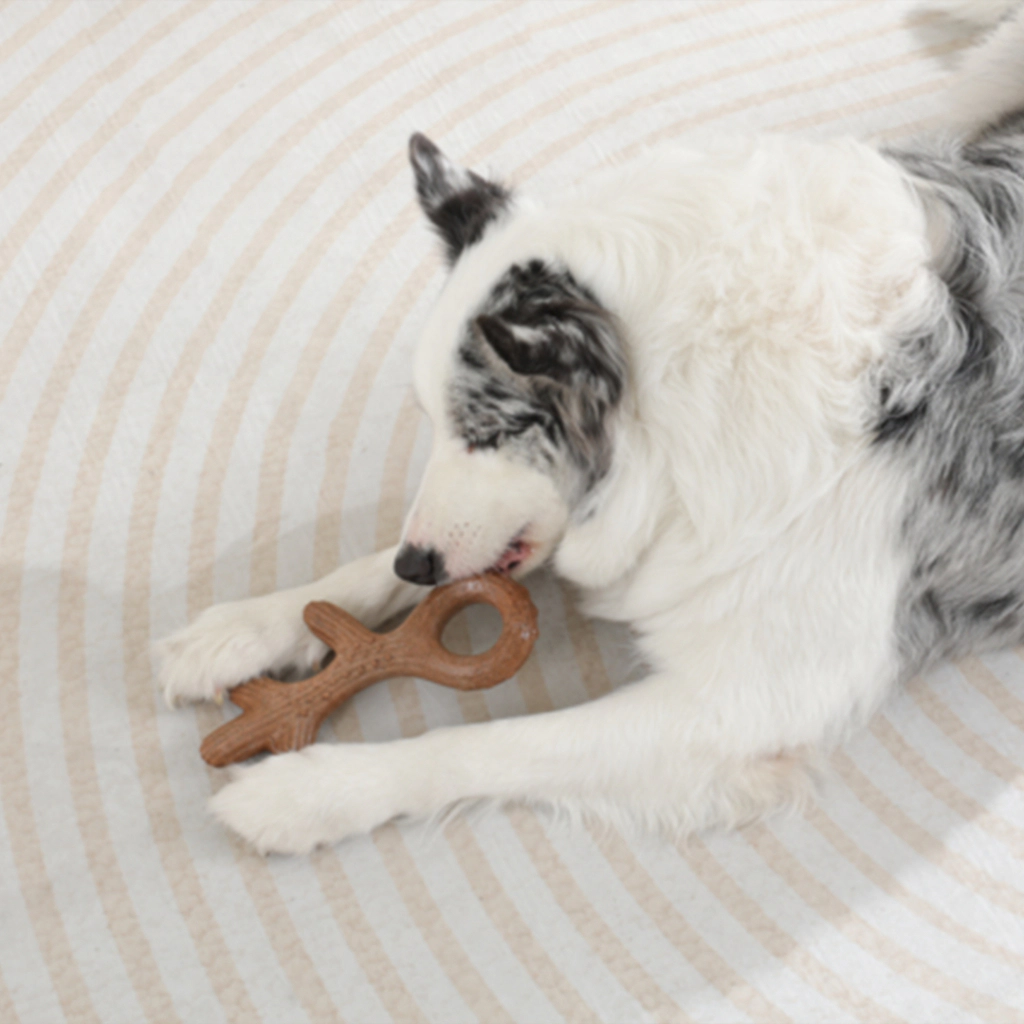 M-Pets Chewood Köpek Oyuncağı 15,3x9,6x4,2cm [S] — görsel 5