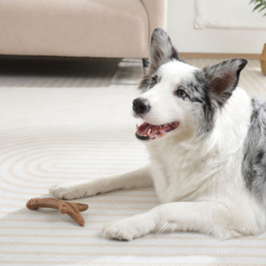 M-Pets Chewood Köpek Oyuncağı 15,3x9,6x4,2cm [S] — görsel 3