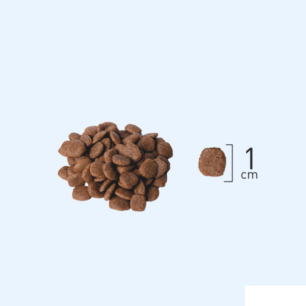 Natura Somonlu Hamsili ve Yaban Mersinli Düşük Tahıllı Kısırlaştırılmış Kedi Maması 2kg — görsel 3
