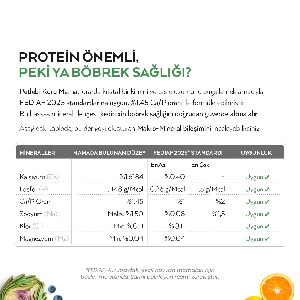 Petlebi Somonlu Yetişkin Kedi Maması 2kg — görsel 4