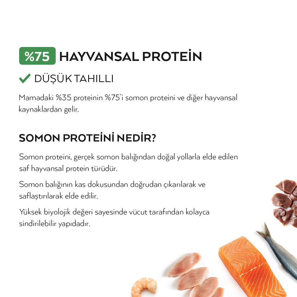 Petlebi Somonlu Yetişkin Kedi Maması 2kg — görsel 3