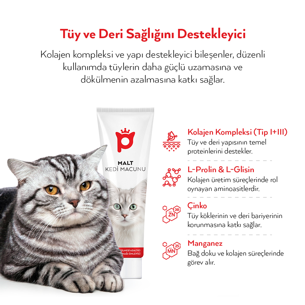 Petlebi Tüy Dökülmesi Azaltıcı ve Tüy Yumağı Önleyici Kolajenli Malt Kedi Macunu 100gr — görsel 2