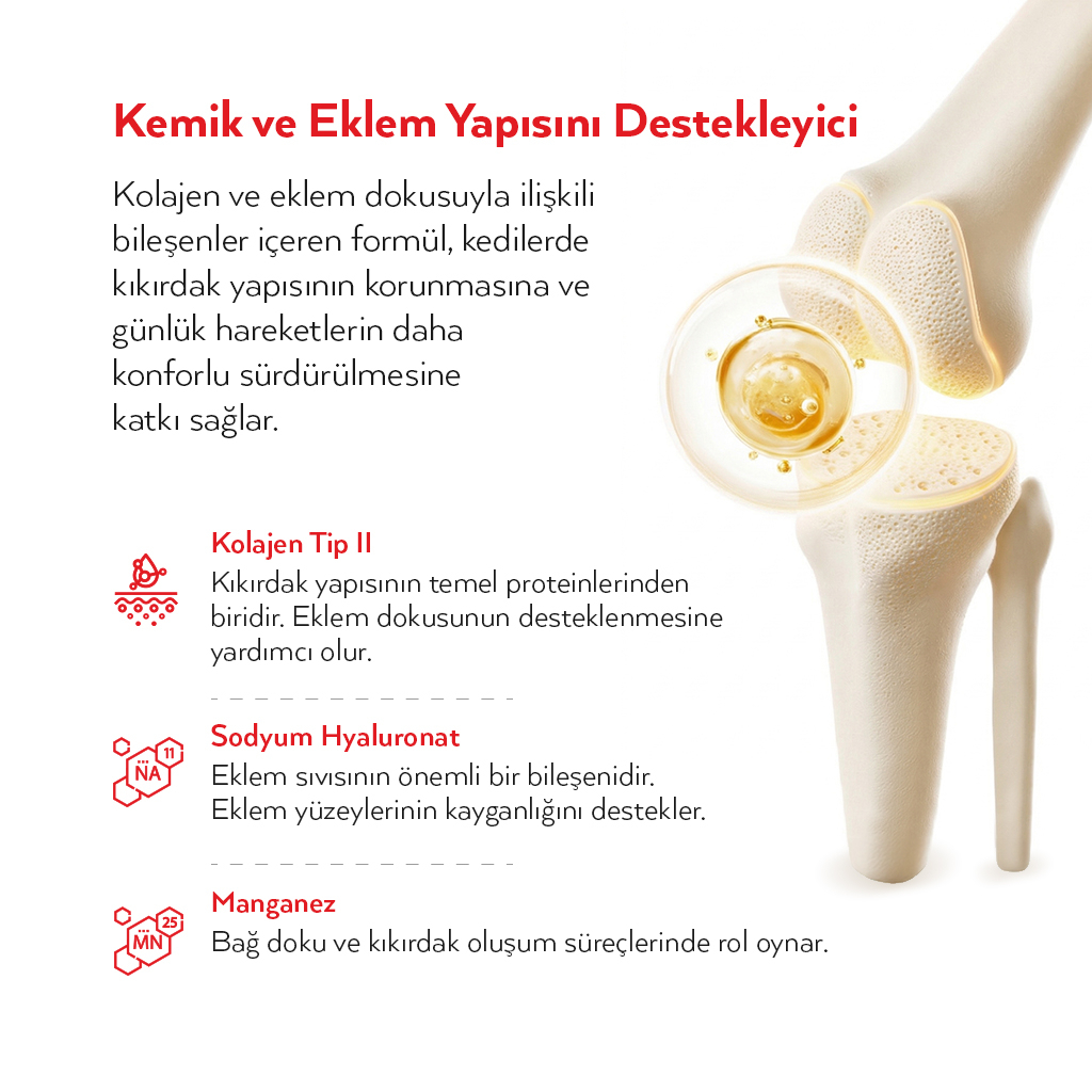 Petlebi Tüy Dökülmesi Azaltıcı ve Tüy Yumağı Önleyici Kolajenli Malt Kedi Macunu 100gr — görsel 4