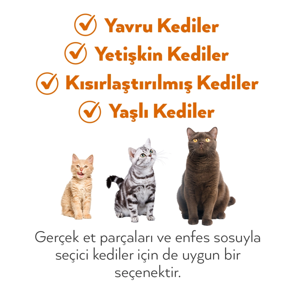 Petlebi Sos İçinde Tiftiklenmiş Taze Tavuk Etli Kedi Konservesi 70gr — görsel 5