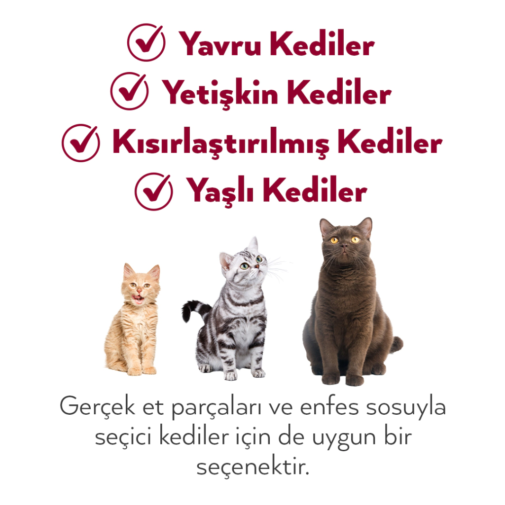 Petlebi Sos İçinde Fileto Taze Ton Balıklı ve Karidesli Kedi Konservesi 70gr (12 Adet) — görsel 5