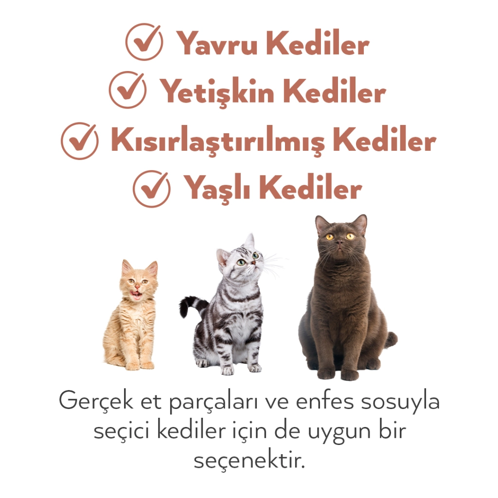 Petlebi Sos İçinde Taze Balıklı ve Tavuk Etli Karışık Çeşitli Kedi Konservesi 70gr (8 Adet) — görsel 2