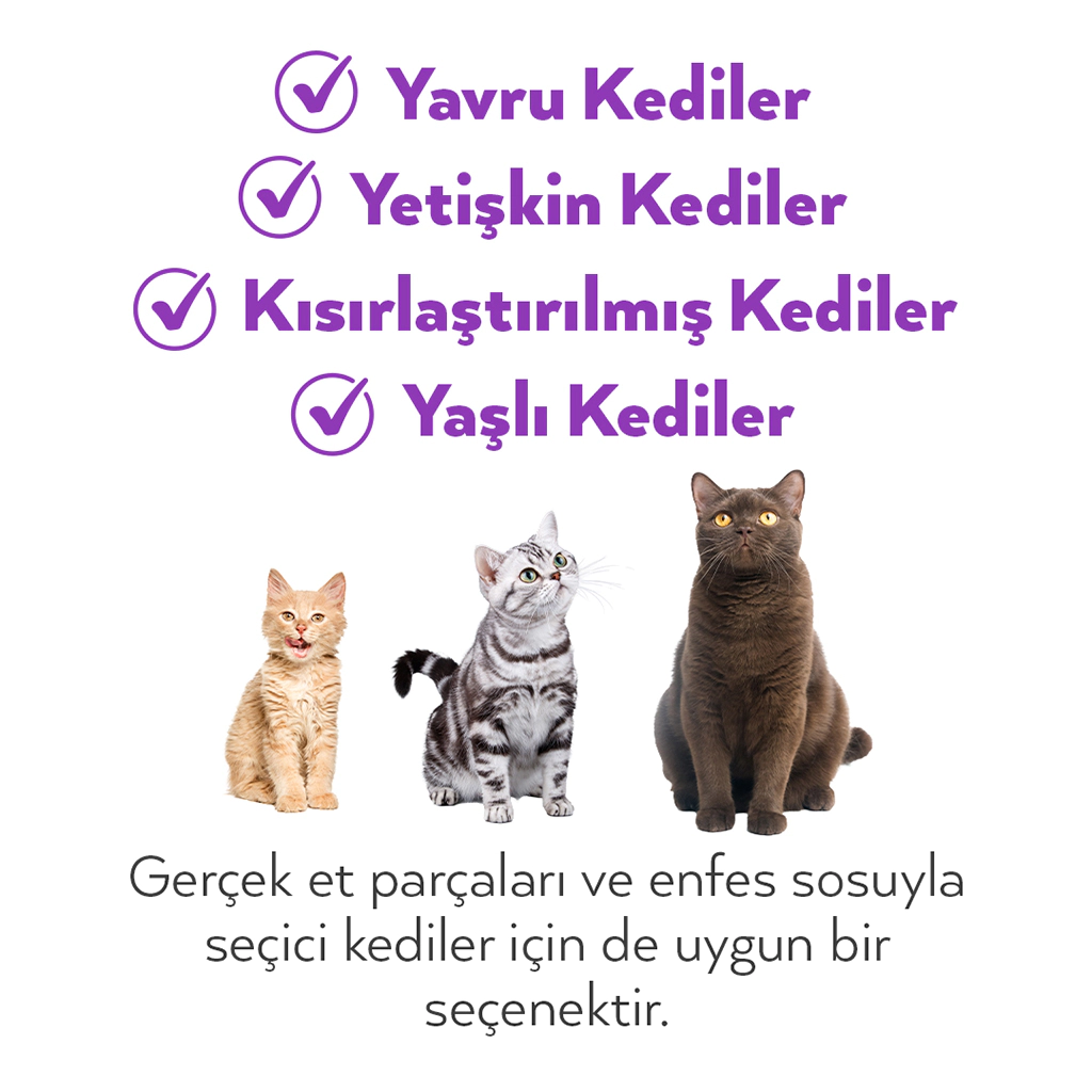Petlebi Sos içinde Tiftiklenmiş Taze Ördek Etli Kedi Konservesi 70gr — görsel 5