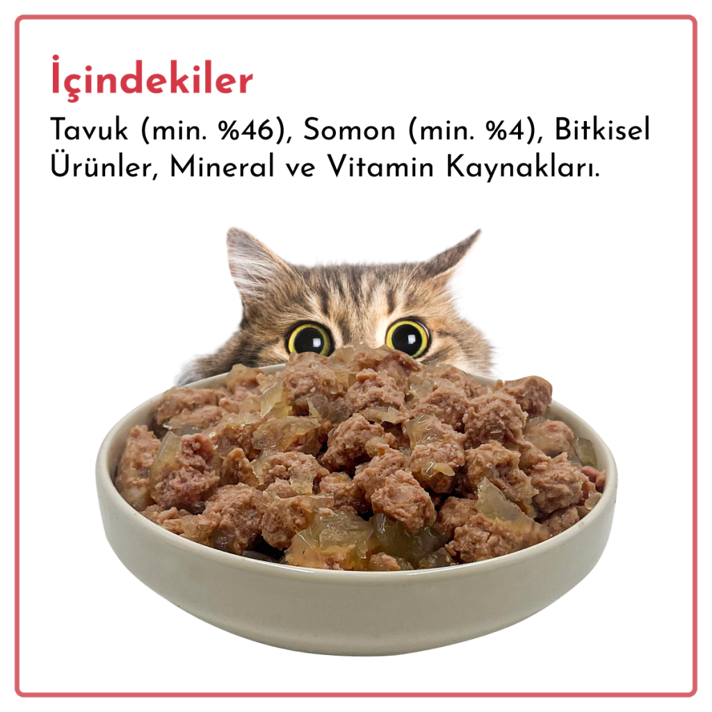 Rimba Sos İçinde Parçalı Somon Balıklı Kedi Konservesi 400gr (12 Adet) — görsel 6