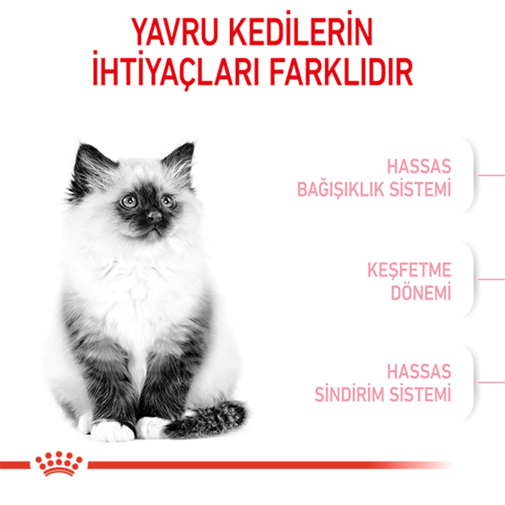 Royal Canin Kitten 36 Yavru Kedi Maması 2kg — görsel 4
