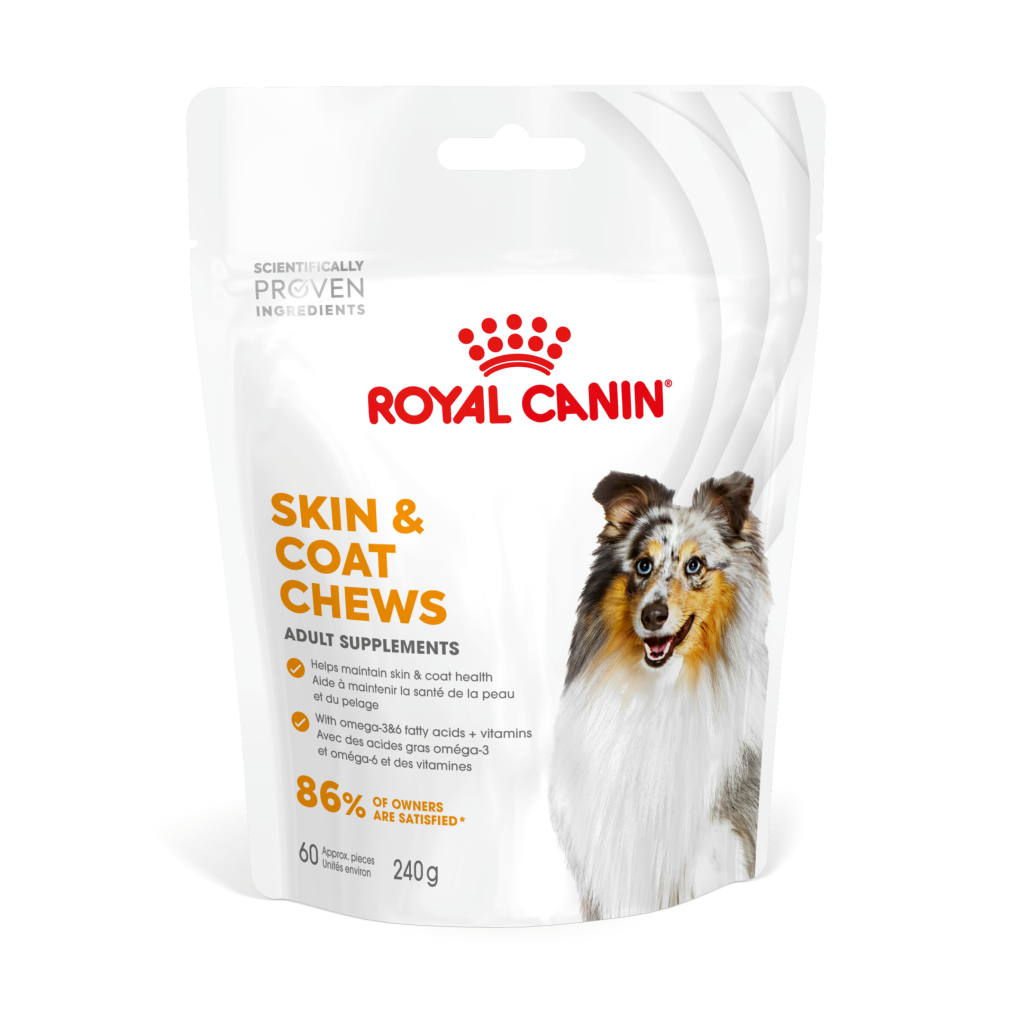 Royal Canin Deri ve Tüy Sağlığı Destekleyici Tamamlayıcı Yetişkin Köpek Ödül Maması 240gr