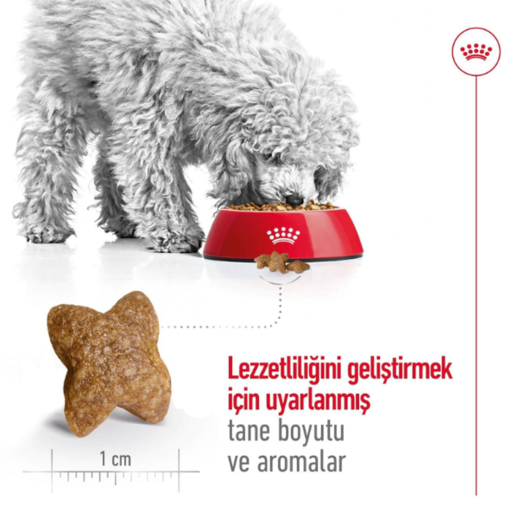 Royal Canin Mini Küçük Irk Yetişkin Köpek Maması 4kg — görsel 5