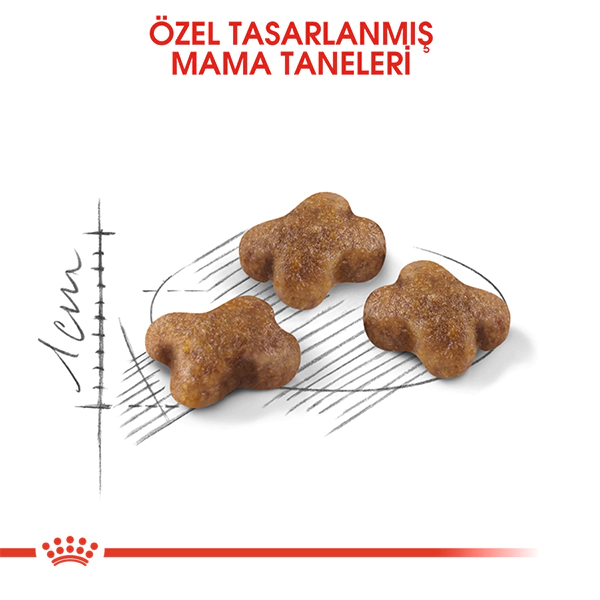 Royal Canin Kitten 36 Yavru Kedi Maması 4kg — görsel 4