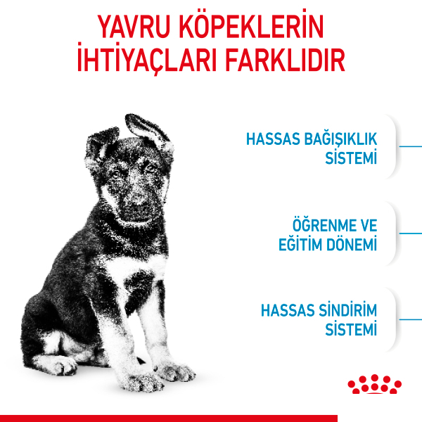 Royal Canin Maxi Puppy Büyük Irk Yavru Köpek Maması 15kg — görsel 2