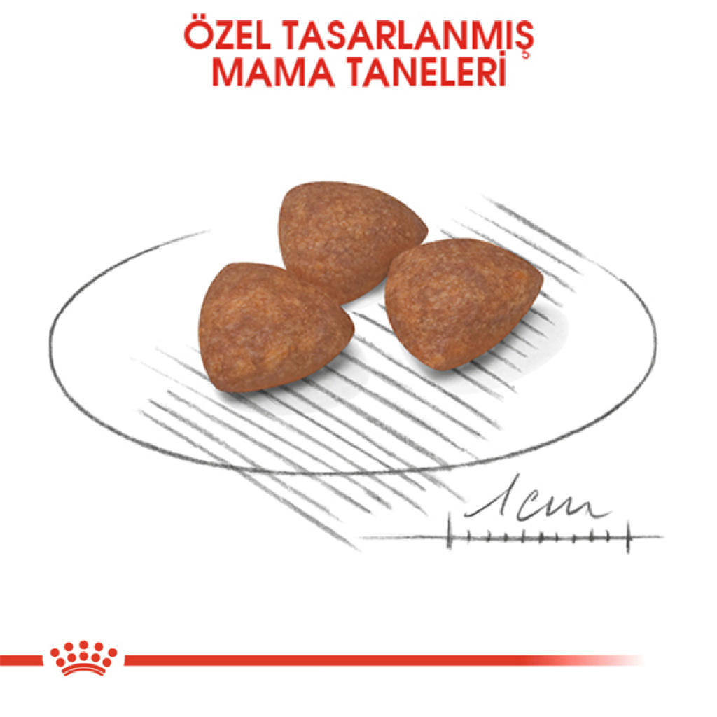 Royal Canin Mini Junior Küçük Irk Yavru Köpek Maması 4kg — görsel 4