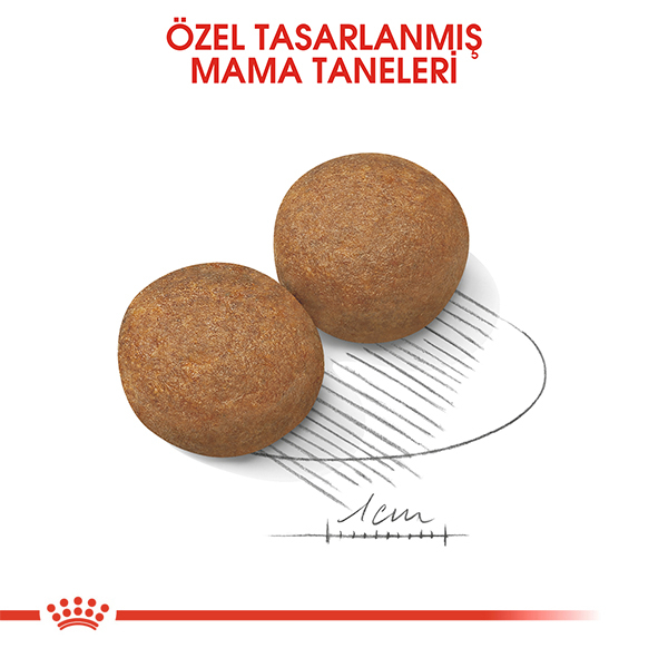 Royal Canin Maxi Büyük Irk Yetişkin Köpek Maması 15kg — görsel 3