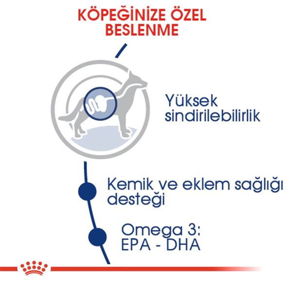 Royal Canin Maxi Büyük Irk Yetişkin Köpek Maması 15kg — görsel 2