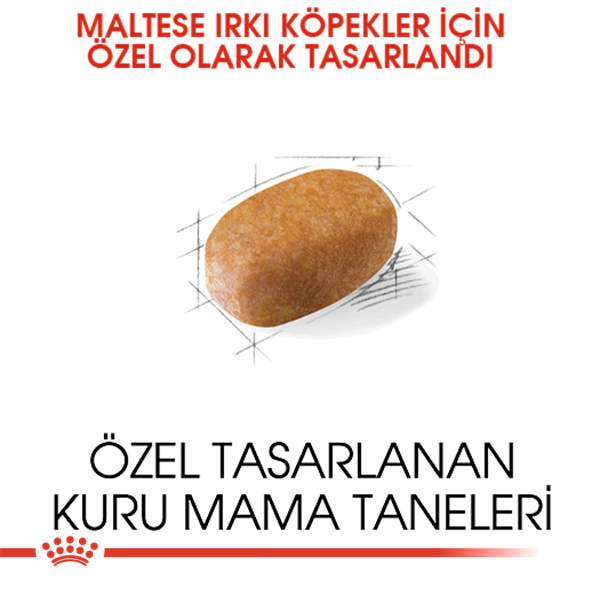 Royal Canin Maltese Terrier Yetişkin Köpek Maması 1,5kg — görsel 2