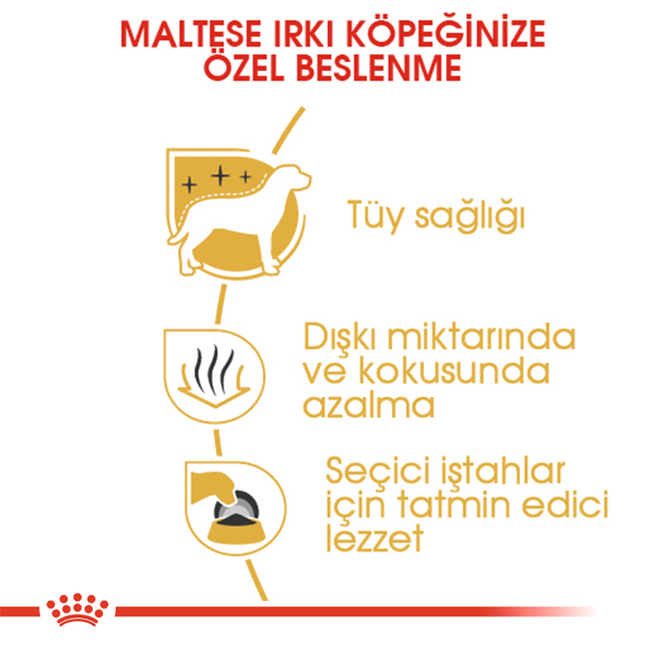 Royal Canin Maltese Terrier Yetişkin Köpek Maması 1,5kg — görsel 4