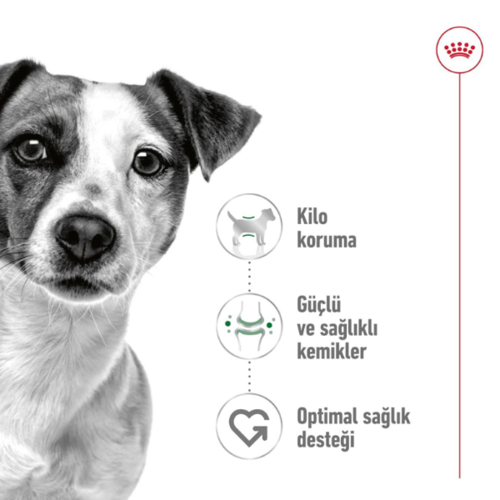 Royal Canin Mini Küçük Irk Yetişkin Köpek Maması 2kg — görsel 2