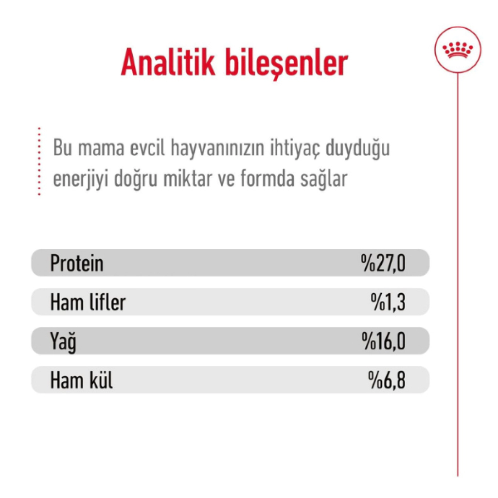 Royal Canin Mini Küçük Irk Yetişkin Köpek Maması 2kg — görsel 3