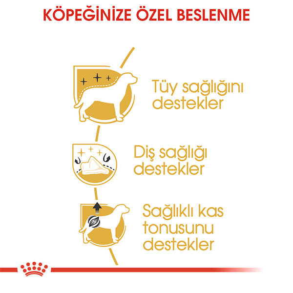 Royal Canin Poodle Yetişkin Köpek Maması 3kg — görsel 4