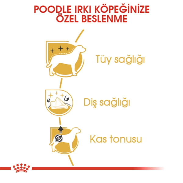 Royal Canin Poodle Yetişkin Köpek Maması 3kg — görsel 5