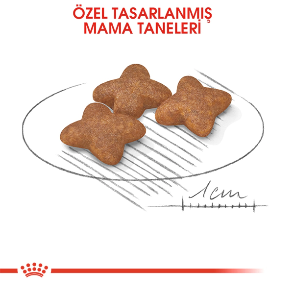 Royal Canin Mini Küçük Irk Yetişkin Köpek Maması 8kg — görsel 4