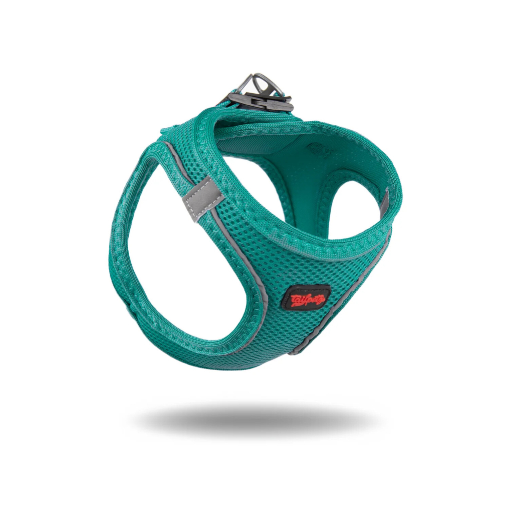 Tailpetz Air-Mesh Küçük Irk Köpek Göğüs Tasması 36-44cm (Zümrüt Yeşili) [S]