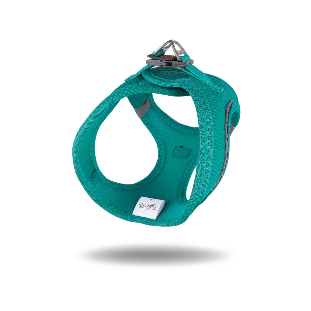Tailpetz Air-Mesh Küçük Irk Köpek Göğüs Tasması 36-44cm (Zümrüt Yeşili) [S] — görsel 3