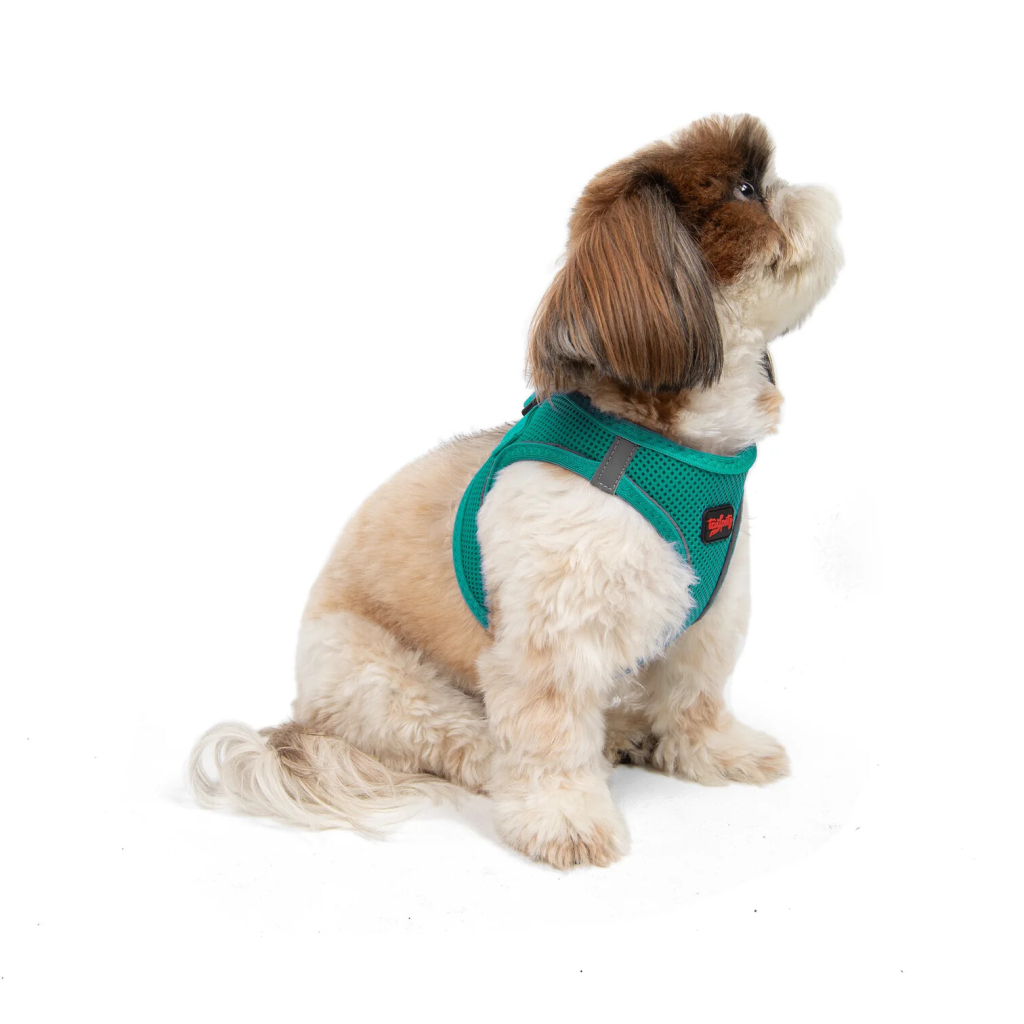 Tailpetz Air-Mesh Küçük Irk Köpek Göğüs Tasması 36-44cm (Zümrüt Yeşili) [S] — görsel 5