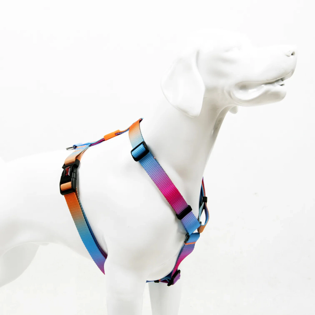 Tailpetz Harness Pass Orta Irk Köpek Göğüs Tasması 42-69cm [M]