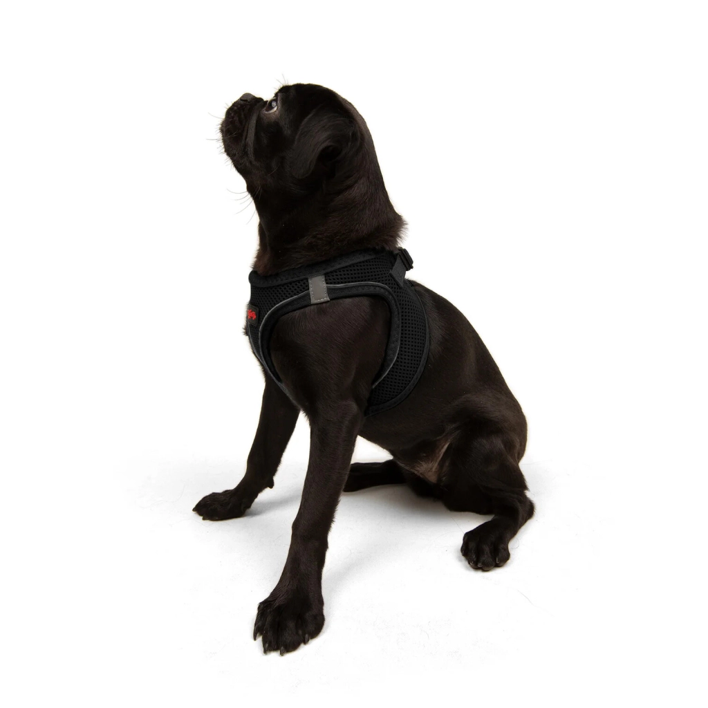 Tailpetz Air-Mesh Küçük Irk Köpek Göğüs Tasması 44-48cm (Siyah) [M] — görsel 6