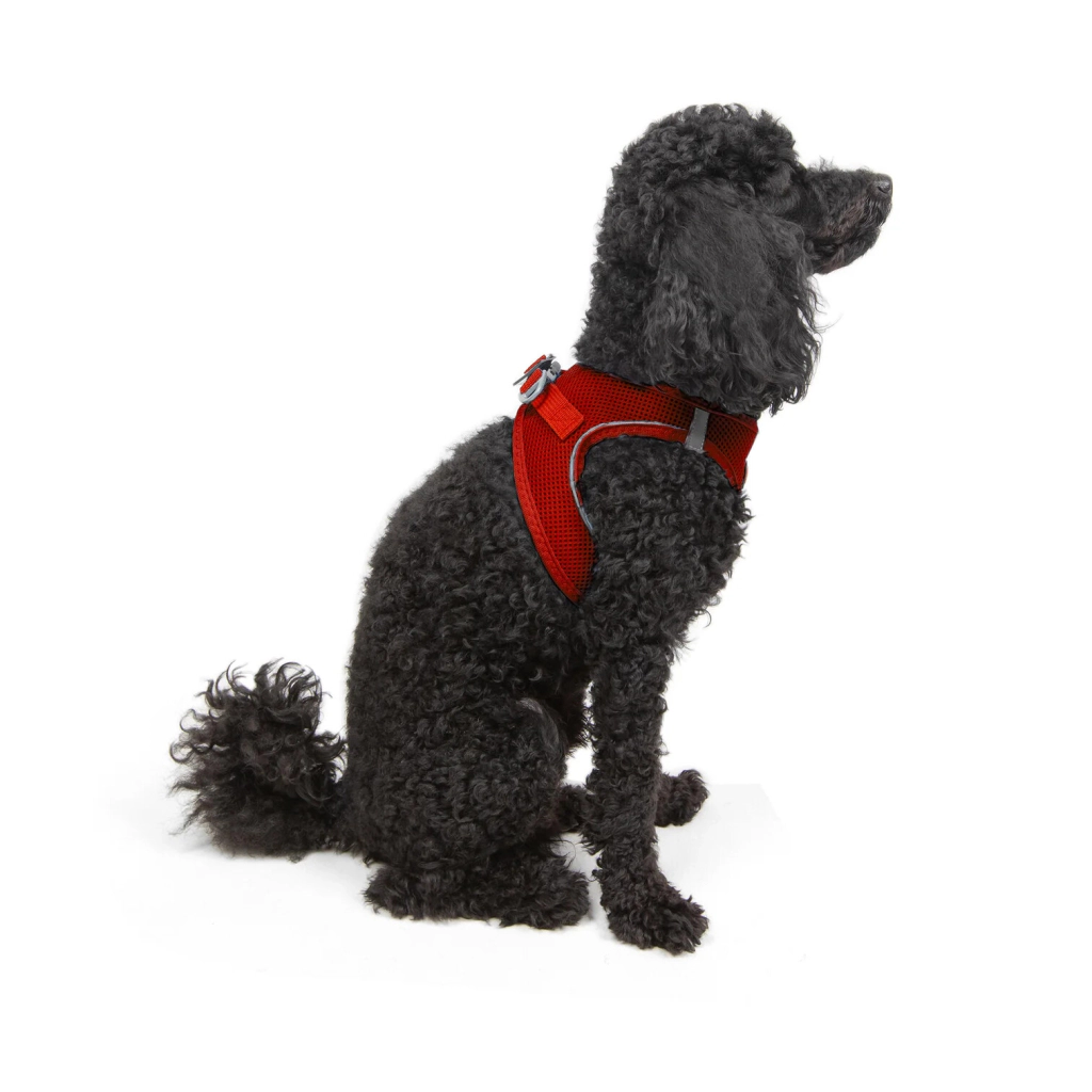 Tailpetz Air-Mesh Küçük Irk Köpek Göğüs Tasması 36-44cm (Kırmızı) [S] — görsel 6