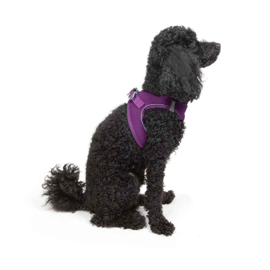 Tailpetz Air-Mesh Küçük Irk Köpek Göğüs Tasması 32-36cm (Mor) [XS] — görsel 6