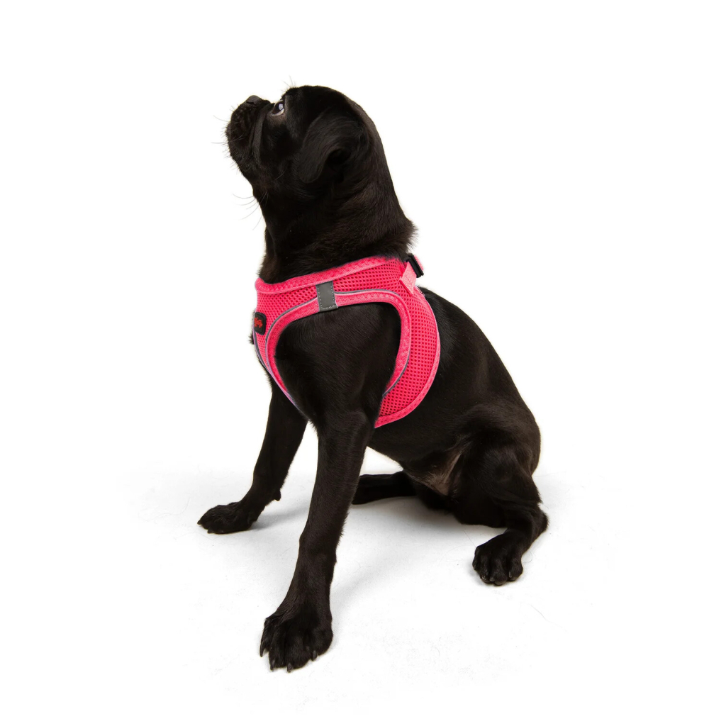 Tailpetz Air-Mesh Küçük Irk Köpek Göğüs Tasması 44-48cm (Neon Pembe) [M] — görsel 6