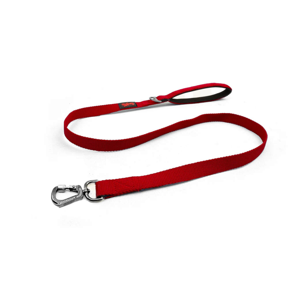 Tailpetz Match Köpek Gezdirme Kayışı 140cm/2cm (Kırmızı) [M]