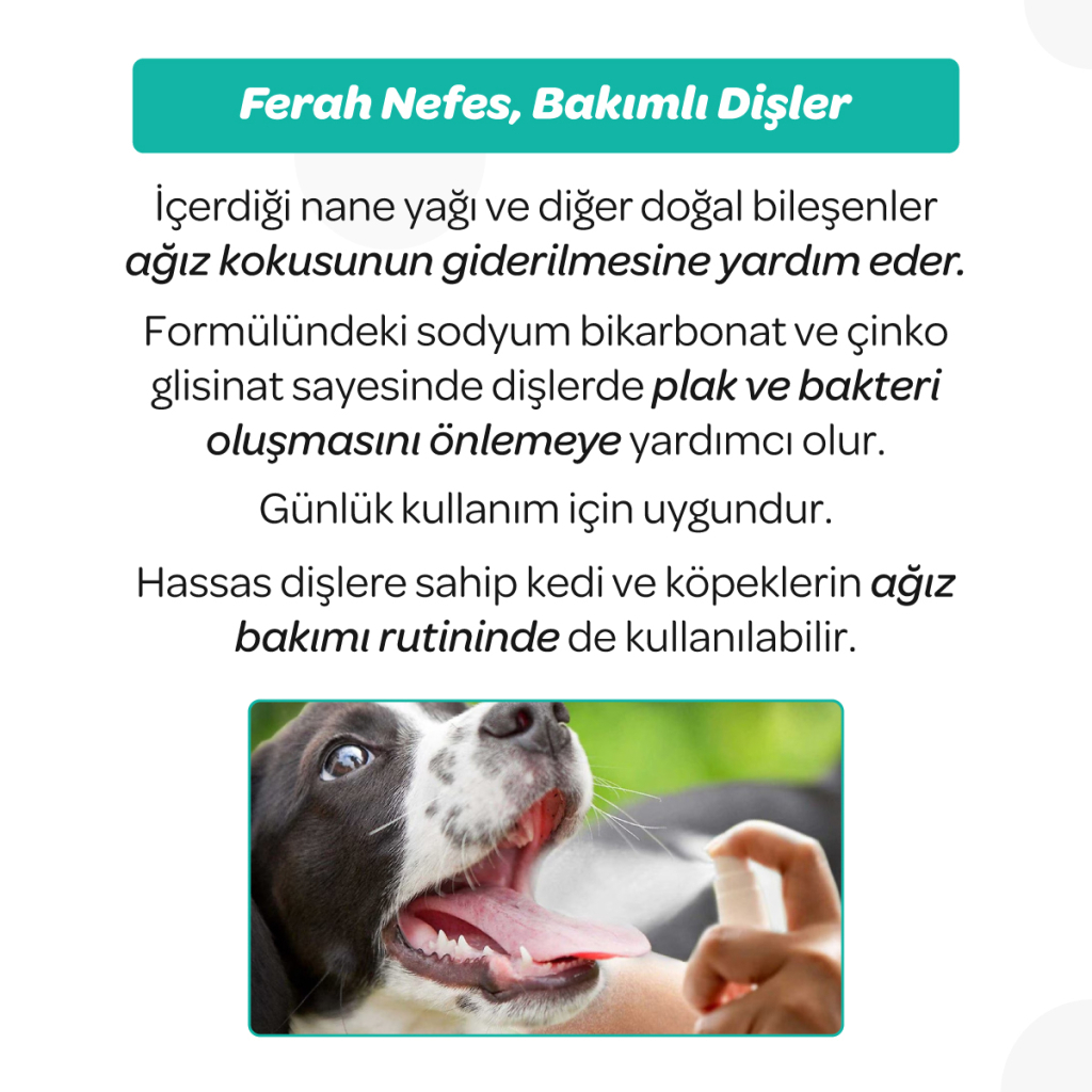 Vet's Plus Kedi ve Köpekler İçin Diş ve Ağız Bakım Spreyi 50ml — görsel 5