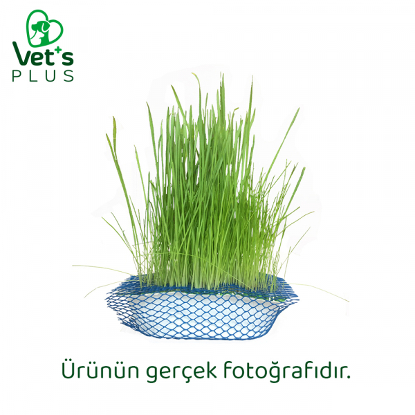 Vet's Plus Tüy Yumaklarına Karşı %100 Doğal Fileli Kedi Çimi — görsel 2