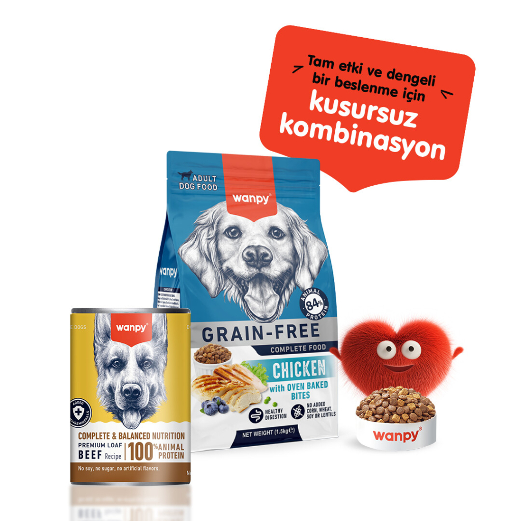 Wanpy Sığır Etli Ezme Köpek Konservesi 375gr — görsel 3