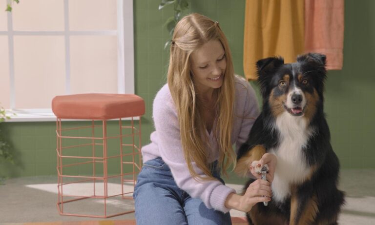A woman cutting a dog’s nails