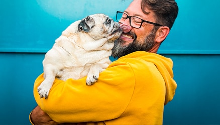 Pet Parenting