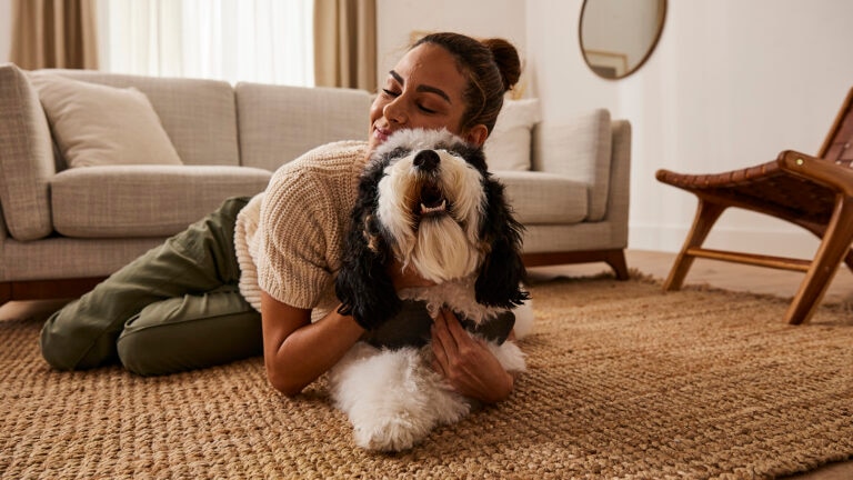 can humans get fleas from dogs: pet parent hugging dog on floor