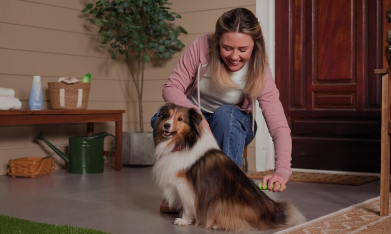 a woman grooming a dog
